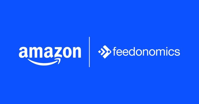 Amazon- und Feedonomics-Logos, die nebeneinander auf einem hellblauen Hintergrund angezeigt werden, getrennt durch eine vertikale Linie.